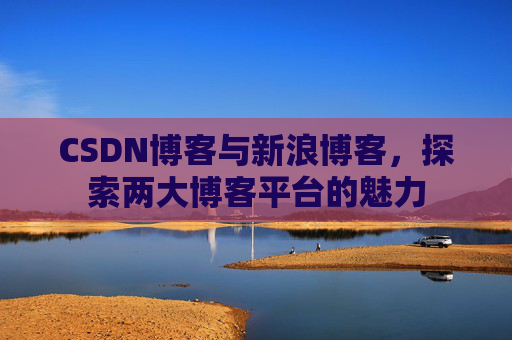 CSDN博客与新浪博客，探索两大博客平台的魅力
