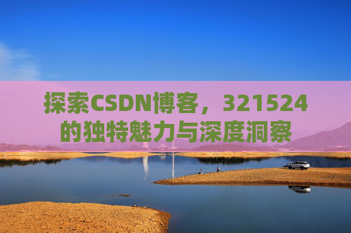 探索CSDN博客，321524的独特魅力与深度洞察